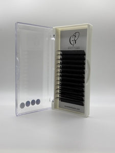 GP CILS Y NOIRS