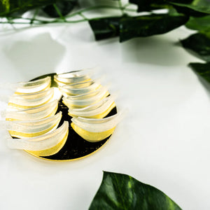 NOVOQUEEN VEGAN LASH LIFT KIT
