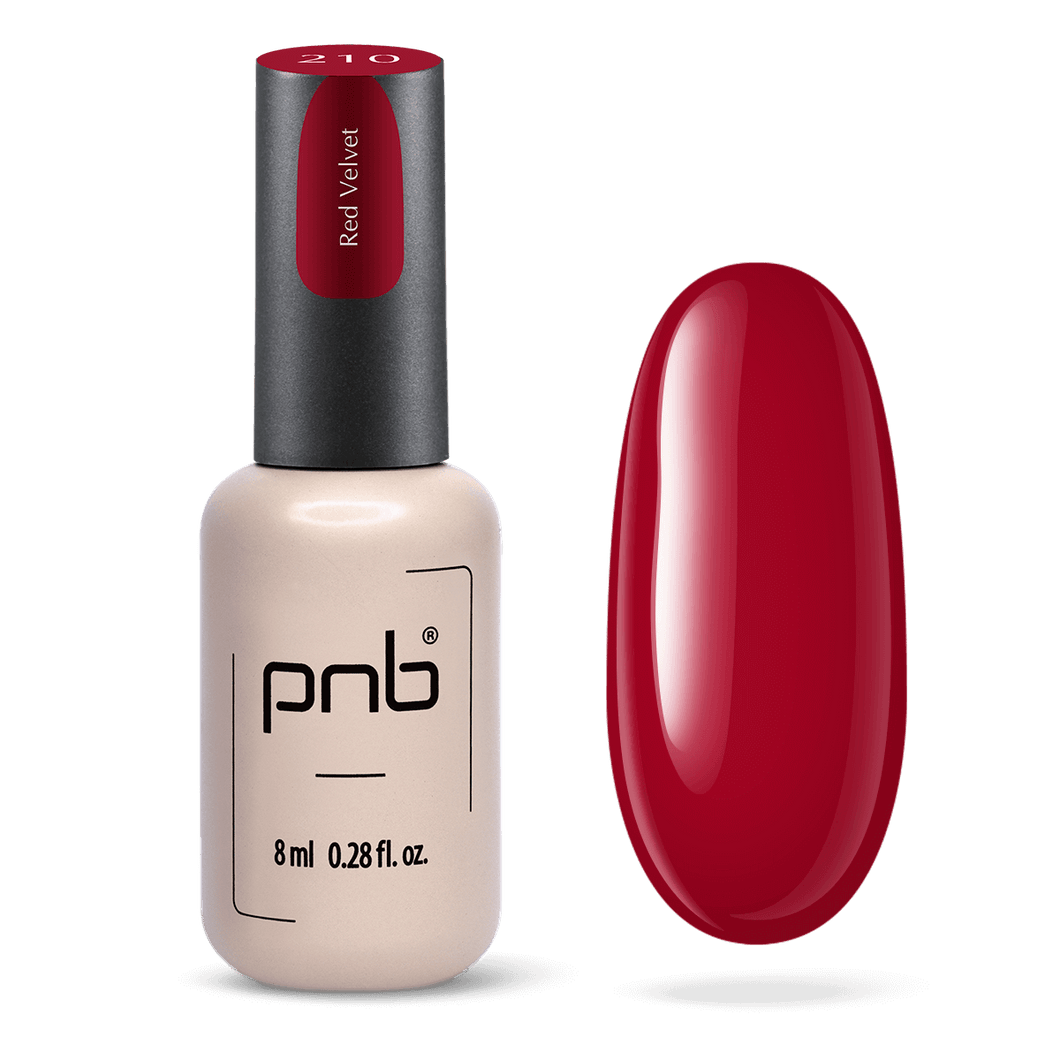 PNB VERNIS À ONGLES GEL 210 VELVET