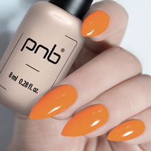 Load image into Gallery viewer, PNB GEL NAIL POLISH 271 BRUEGEL