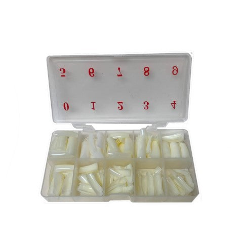 BOX OF NATURAL DENTURES 500 UNITS